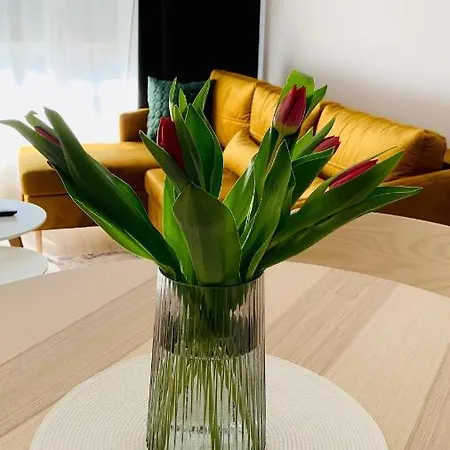 Apartment Przystan Letnikow By Mypart In Your